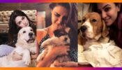 TV Celebs’ Self Quarantine time with their pets: Erica Fernandes, Karishma Tanna, Anita Hassanandani