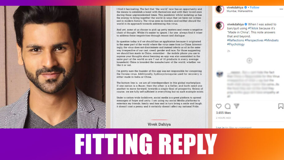 Vivek Dahiya gives a fitting reply on being asked to QUIT TikTok