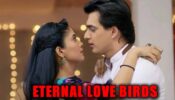 Yeh Rishta Kya Kehlata Hai: Kartik and Naira – eternal love birds!
