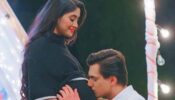 Yeh Rishta Kya Kehlata Hai: When Naira and Kartik became 'PREGNANT'