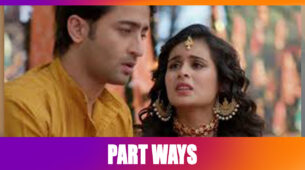 Yeh Rishtey Hain Pyaar Ke: Times  when Abir and Mishti had a FIGHT