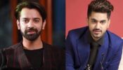 Zain Imam or Barun Sobti: Which hottie you miss on TV?