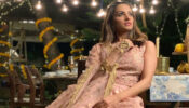 Anita Hassanandani Looks Jaw-Dropping Gorgeous In This Ethnic Look