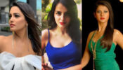Anita Hassanandani, Shrenu Parikh, Jennifer Winget: TV Actresses And Their Prettiest Instagram Photoshoots