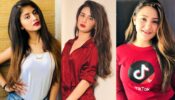 Arishfa Khan VS Avneet Kaur VS Aashika Bhatia: Which actress should make more TikTok videos?
