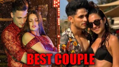 Asim Riaz-Himanshi Khurana VS Priyank Sharma-Benafsha Soonawalla: The Best Power Couple