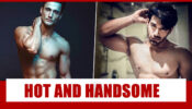 Asim Riaz Vs Paras Chhabra: Which Bigg Boss Contestant Has The Hottest Body?