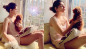 AWW: Kriti Sanon has a playful Sunday with her pets