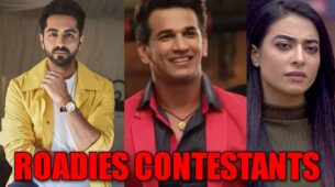 Ayushmann Khurrana to Prince Narula: Popular celebrities who were Roadies contestants: Check Full List