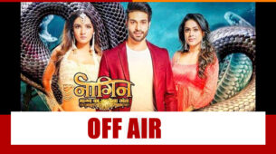 Bad News: Naagin 4 to go off air?