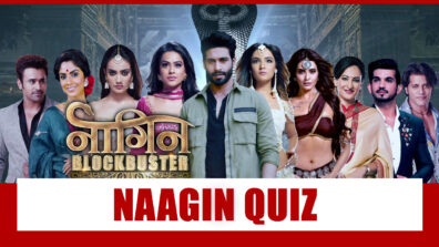 Big Fan Of Naagin: Take This Difficult Quiz