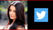 Celina Jaitley's Twitter followership takes a hit