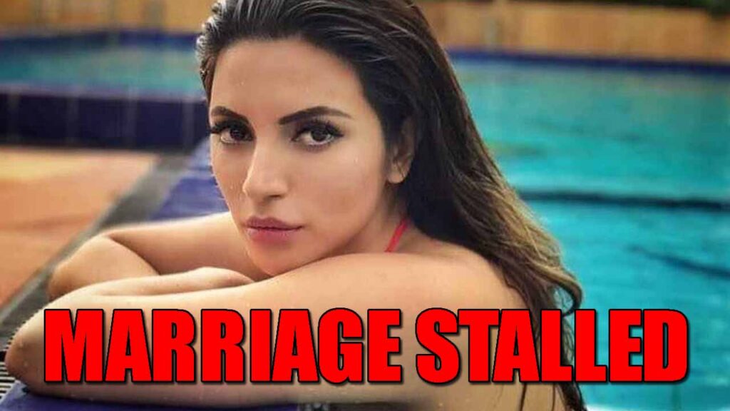 Coronavirus impact Shama Sikander's marriage plans: Read Details