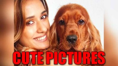 Disha Patani’s Bella cutest pictures are the best thing on internet today