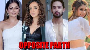 Drashti Dhami VS Sanaya Irani VS Niti Taylor: Which TV actress do you want to see opposite Parth Samthaan?
