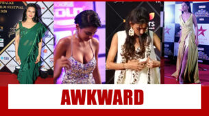 From Erica Fernandes to Divyanka Tripathi: Awkward Red Carpet Moments of Top TV Stars