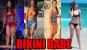 Hina Khan VS Sriti Jha VS Niti Taylor VS Drashti Dhami: Who’s Your Favourite Bikini Babe?