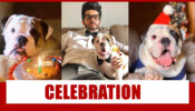 Hot-looking Dheeraj Dhoopar celebrates birthday of someone special