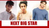 Ibrahim Ali Khan Vs Aryan Khan Vs Ahan Shetty: Which Bollywood Kid Will Be The Next Big Star?
