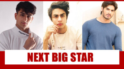 Ibrahim Ali Khan Vs Aryan Khan Vs Ahan Shetty: Which Bollywood Kid Will Be The Next Big Star?