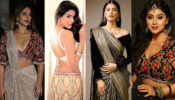 Ileana D’cruz, Asin Thottumkal, Shruti Haasan, Shriya Saran: 8 Trendy Blouse Designs For A Jaw-Dropping Look!