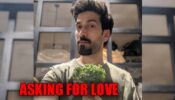 Ishqbaaaz star Nakuul Mehta is asking for LOVE, find out here