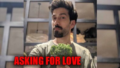 Ishqbaaaz star Nakuul Mehta is asking for LOVE, find out here