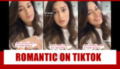 Kasautii Zindagii Kay fame Erica Fernandes gets ROMANTIC on TikTok, check here