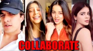 Mohsin Khan, Niti Taylor, Mahima Makwana, Jigyasa Singh collaborate for a project, DETAILS INSIDE