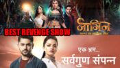 Naagin VS Ek Bhram Sarvagun Sampanna: Which Is Your Favourite REVENGE Show?