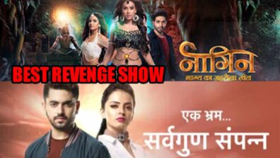 Naagin VS Ek Bhram Sarvagun Sampanna: Which Is Your Favourite REVENGE Show?