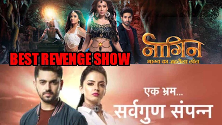 Naagin VS Ek Bhram Sarvagun Sampanna: Which Is Your Favourite REVENGE Show?