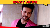 No idea what will happen to Naagin 4: Sanjay Gagnani