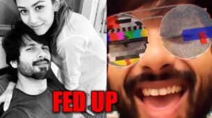 OMG! Meera Rajput is fed up with Shahid Kapoor, find out why