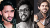 Parth Samthaan, Shaheer Sheikh, Randeep Rai: TV Actors Who Are Killing It With Their Budget-Friendly Fashion!