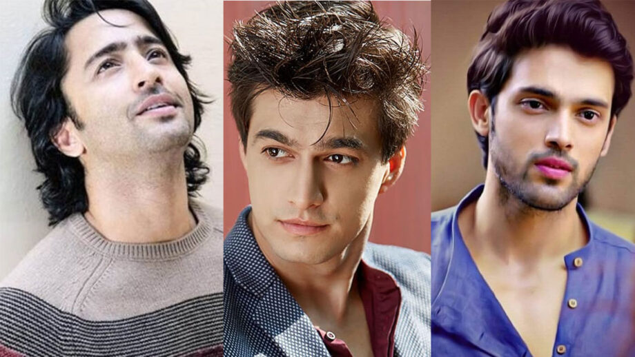 Parth Samthaan Vs Mohsin Khan Vs Shaheer Sheikh: Who Deserves The Bollywood Debut?