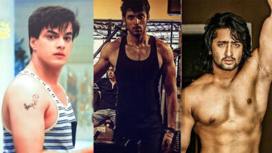 Parth Samthaan Vs Mohsin Khan Vs Shaheer Sheikh: Who’s Your Fitness Icon?