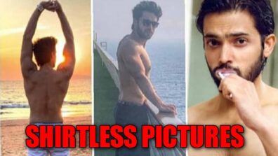 Parth Samthaan’s Shirtless Pictures Takes Social Media By Storm