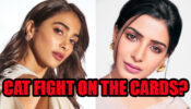 Pooja Hegde Vs Samantha Akkineni – The next big ‘CAT FIGHT’ in the South industry
