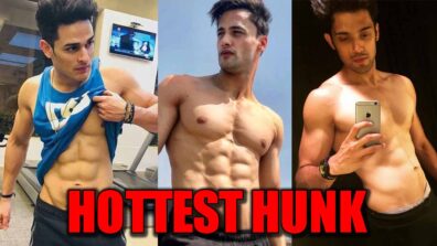 Priyank Sharma VS Asim Riaz VS Parth Samthaan: The Hottest Young Hunk of TV?