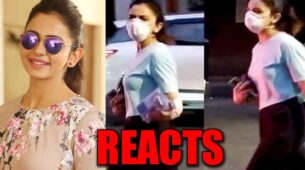 Did Rakul Preet Singh buy alcohol? The actress CLARIFIES