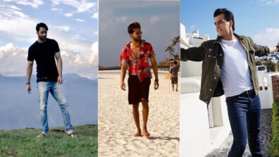 Randeep Rai, Mohsin Khan, Shaheer Sheikh: TV Actors And Their Exotic Holiday Pictures