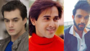 Randeep Rai, Parth Samthaan, Mohsin Khan: Whose Slick Hair Do You Like Best?
