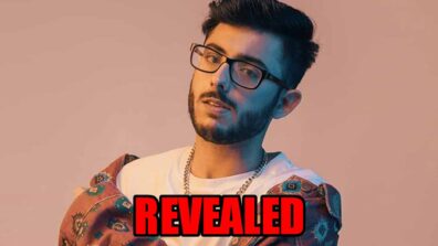 REVEALED! CarryMinati’s Education And Other Details