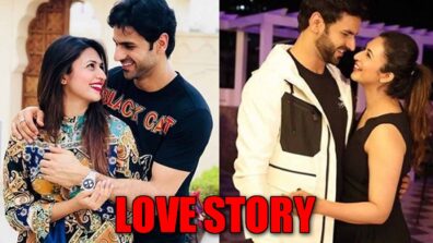 Revealed: Love story of Divyanka Tripathi and Vivek Dahiya