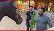 Salman Khan Will Remain In His Farmhouse Till The Lockdown, Not To Return To Mumbai