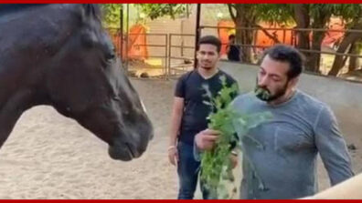 Salman Khan Will Remain In His Farmhouse Till The Lockdown, Not To Return To Mumbai