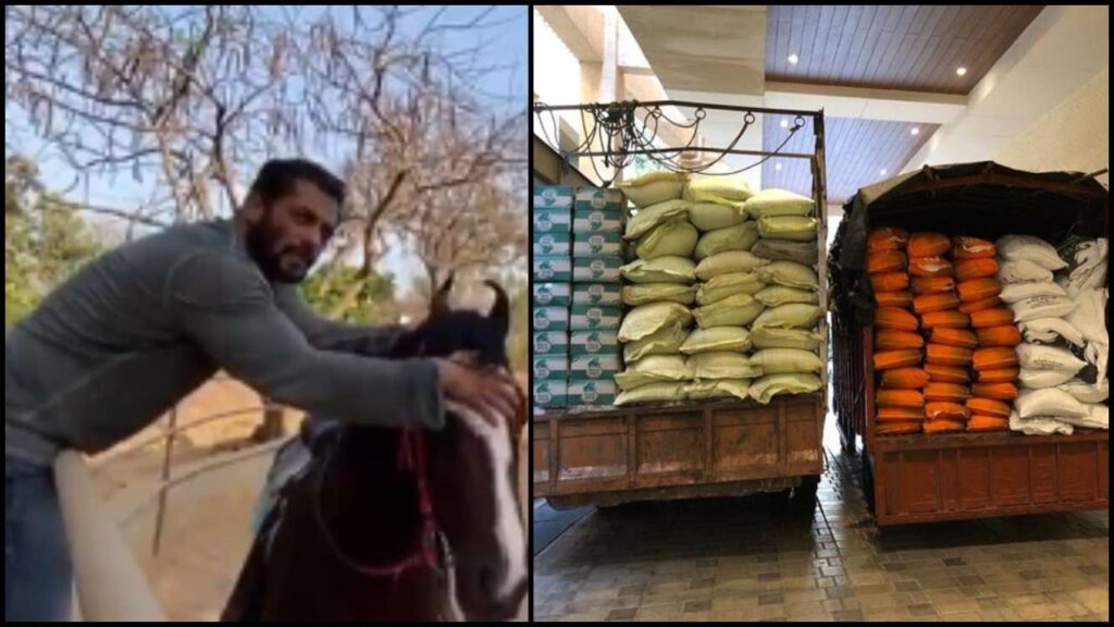 Salman Khan’s Lockdown Lifestyle REVEALED - 0