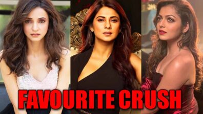 Sanaya Irani, Jennifer Winget, Drashti Dhami: Who’s your favourite television crush?