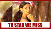 Sanaya Irani: The TV Diva Who Vanished From Screen